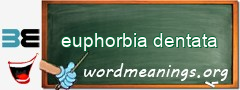 WordMeaning blackboard for euphorbia dentata